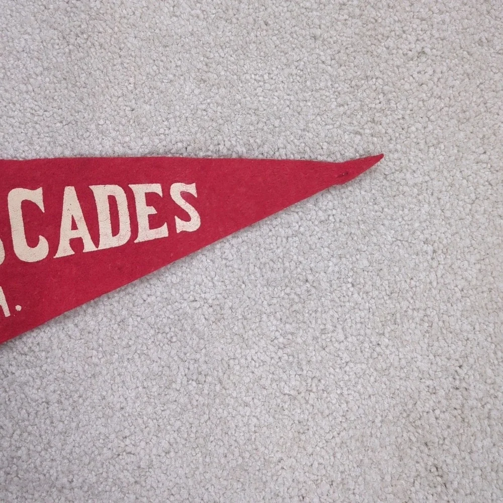 2 The Cascades Jackson Michigan MI Felt Pennant Vintage Travel Souvenir 40s 50s